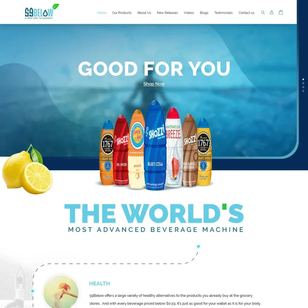 Website 5